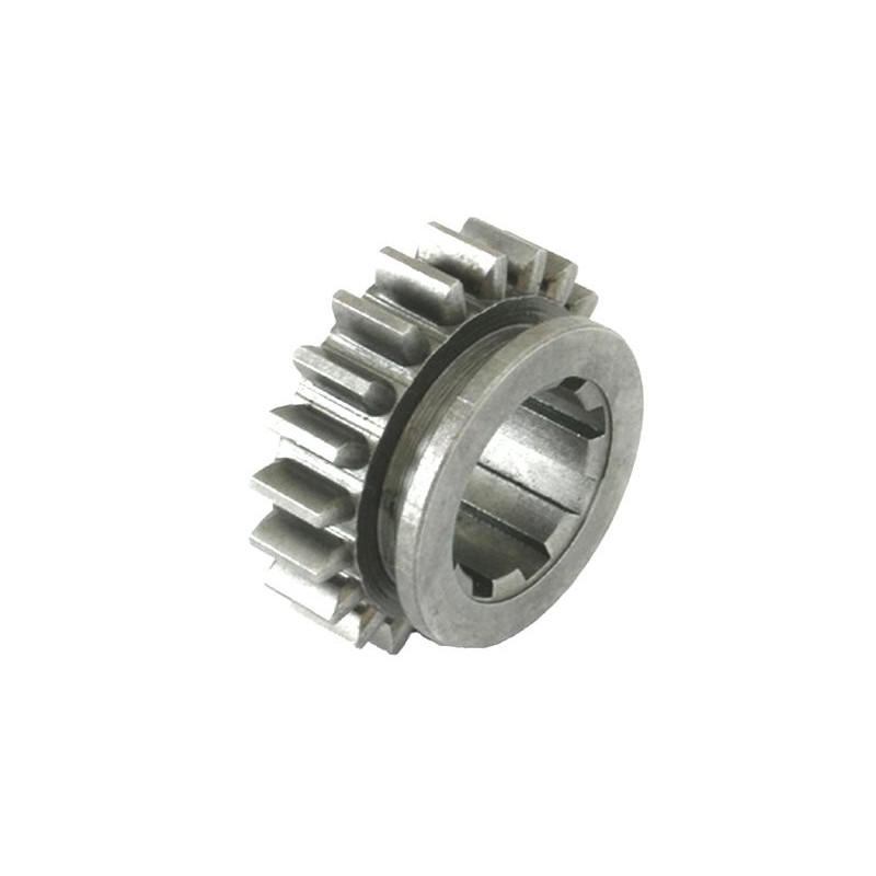 Rueda dentada para 1ra. y reversa