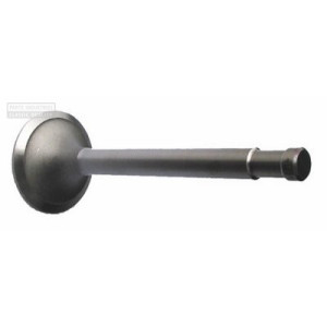 Inlet valve