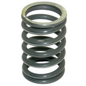 Valve spring outside