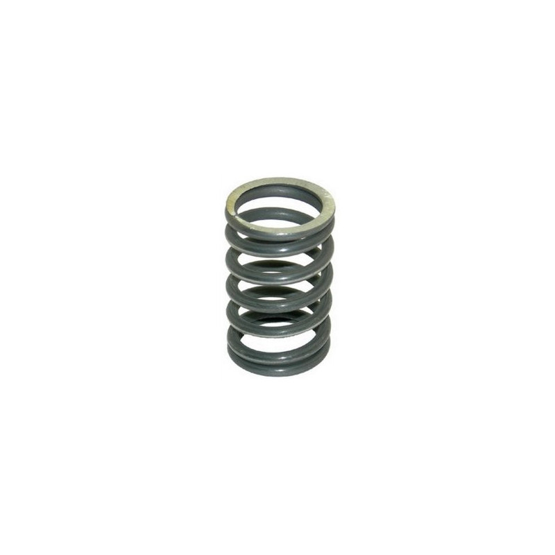 Valve spring outside