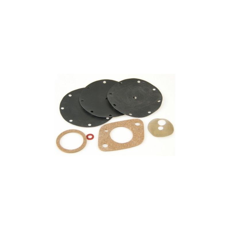 Kit di riparazione per pompa benzina Guiot