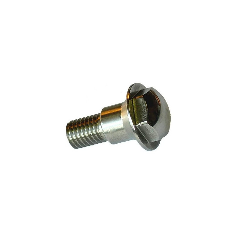 Tornillo de tapacubo rueda Pilote inox