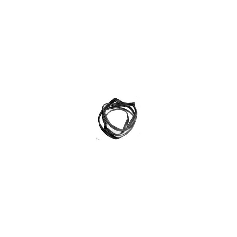 Door gasket front left
