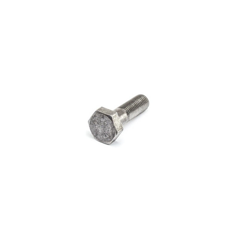Tornillo para disco volante