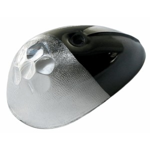 Indicator cap front left clear