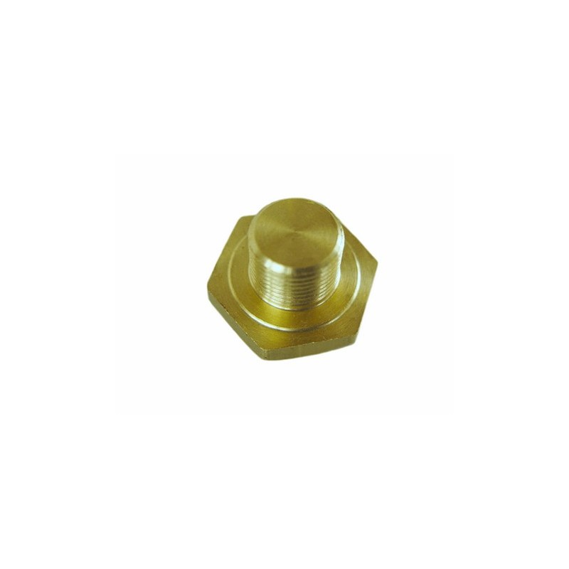 Petrol tank drain plug