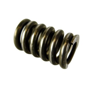 Spring in steering rack