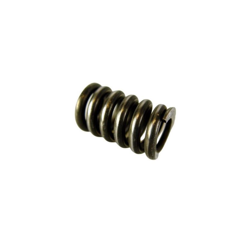 Spring in steering rack