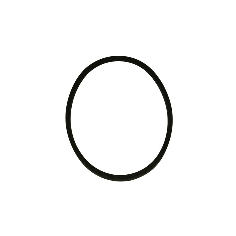 Drive belt 17x1000