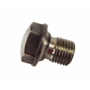Tornillo de tapacubo rueda BM M14x17 inox