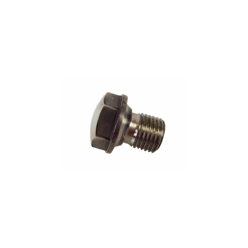 Tornillo de tapacubo rueda BM M14x17 inox