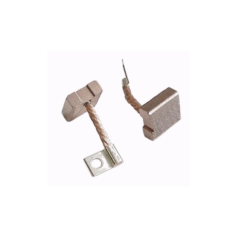 Starter brushes Femsa