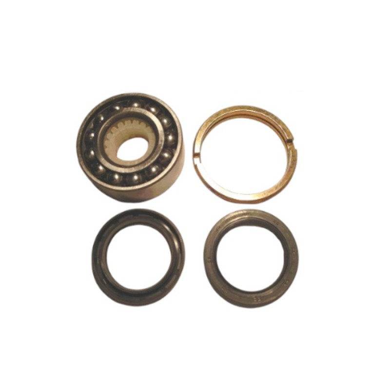 Wheel bearing set front including ring nut
