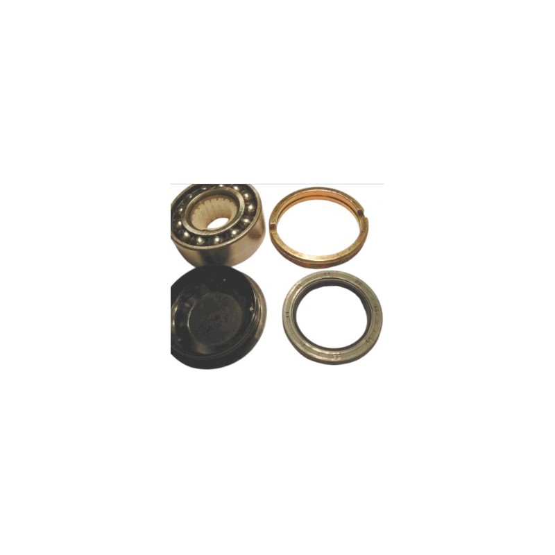 Wheel bearing set rear including ring nut